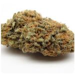 Шишки AK47 (Гидропоника, Бошка) VHQ в Химках Шишки AK47 (Гидропоника, Бошка) VHQ в Химках