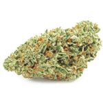 Шишки OG Kush (Гидропоника, бошки) VHQ в Химках Шишки OG Kush (Гидропоника, бошки) VHQ в Химках